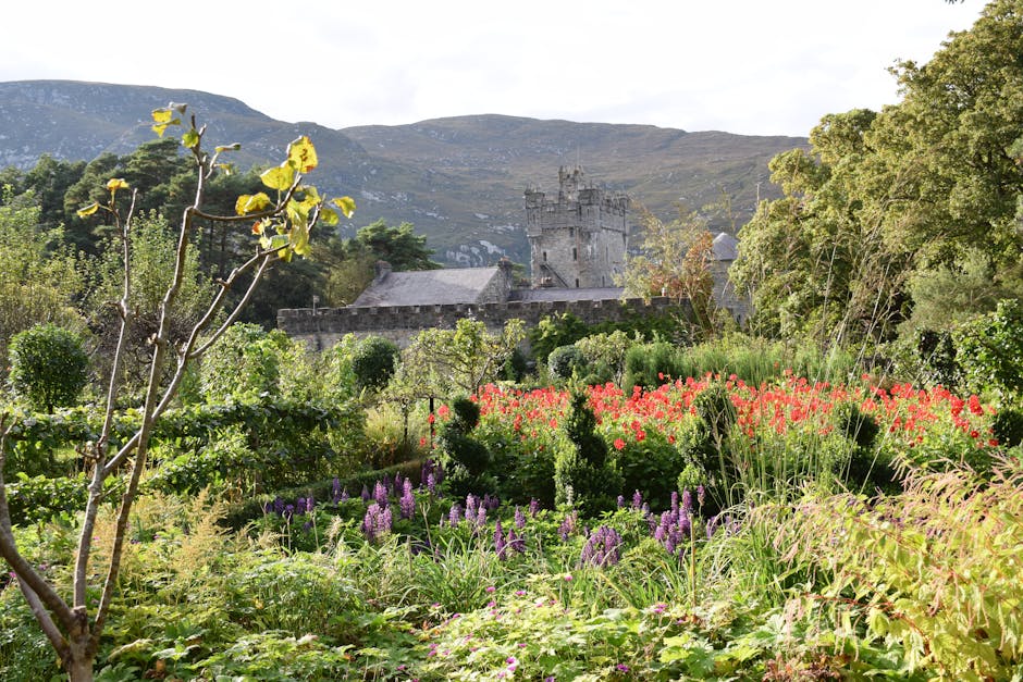 Donegal community landscape representing hospice support locations
